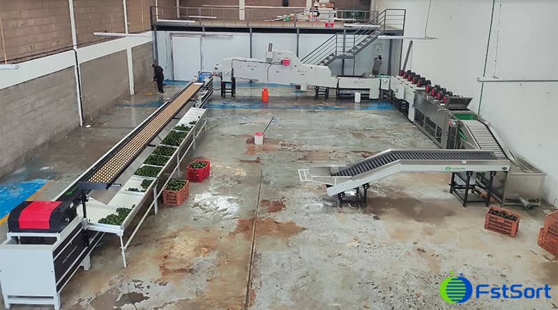 images/1714632241036avocado processing machine.jpg